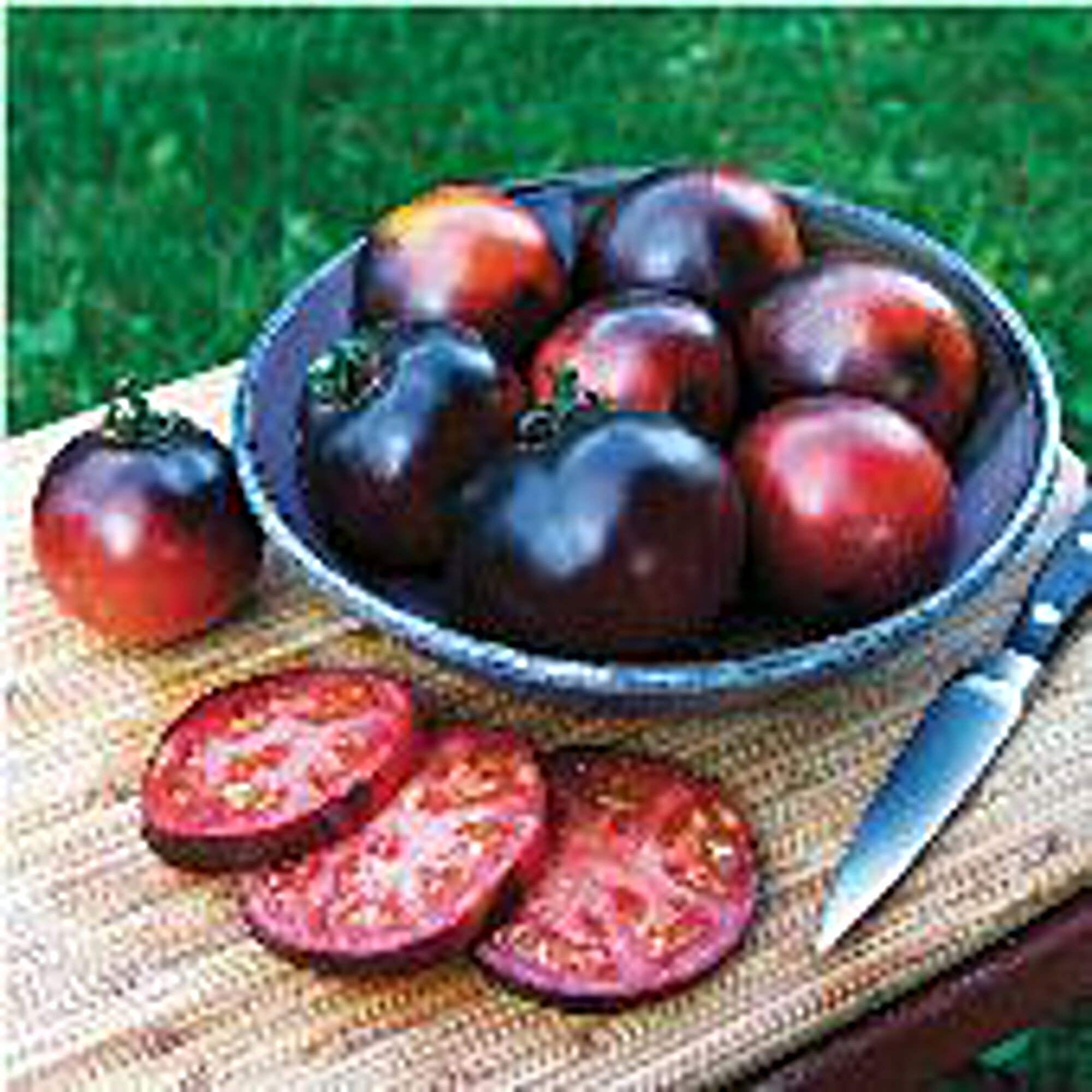 Organic Indigo Apple Tomato Seeds - Non-GMO Heirloom Variety (25+ Seeds) for Home Gardening, Container Planting & Fresh Salads - Seed King Express