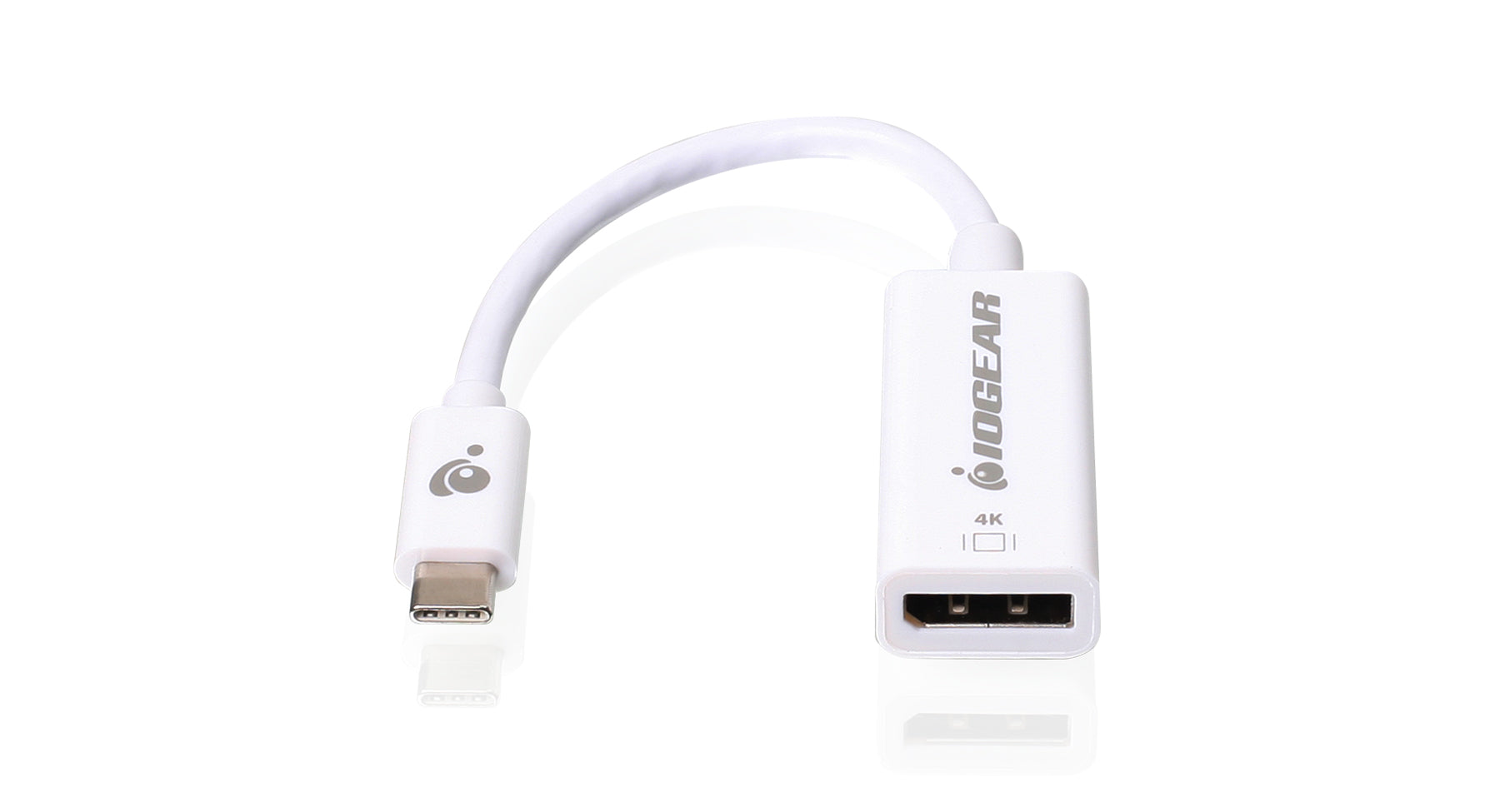 USB Type C to DisplayPort Adapter 4K 60Hz - Thunderbolt 3 Compatible - Connect Laptop to Monitor for Work, Gaming & Home Theater