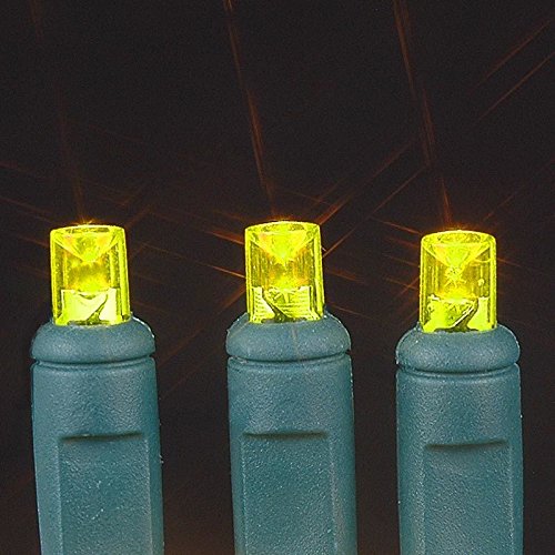 BAT50 LED Battery Operated Christmas Mini Lights - 50 Green Wire Fairy Lights (17 Feet) for Indoor/Outdoor Holiday Decorations, Parties, Weddings & Home Ambiance