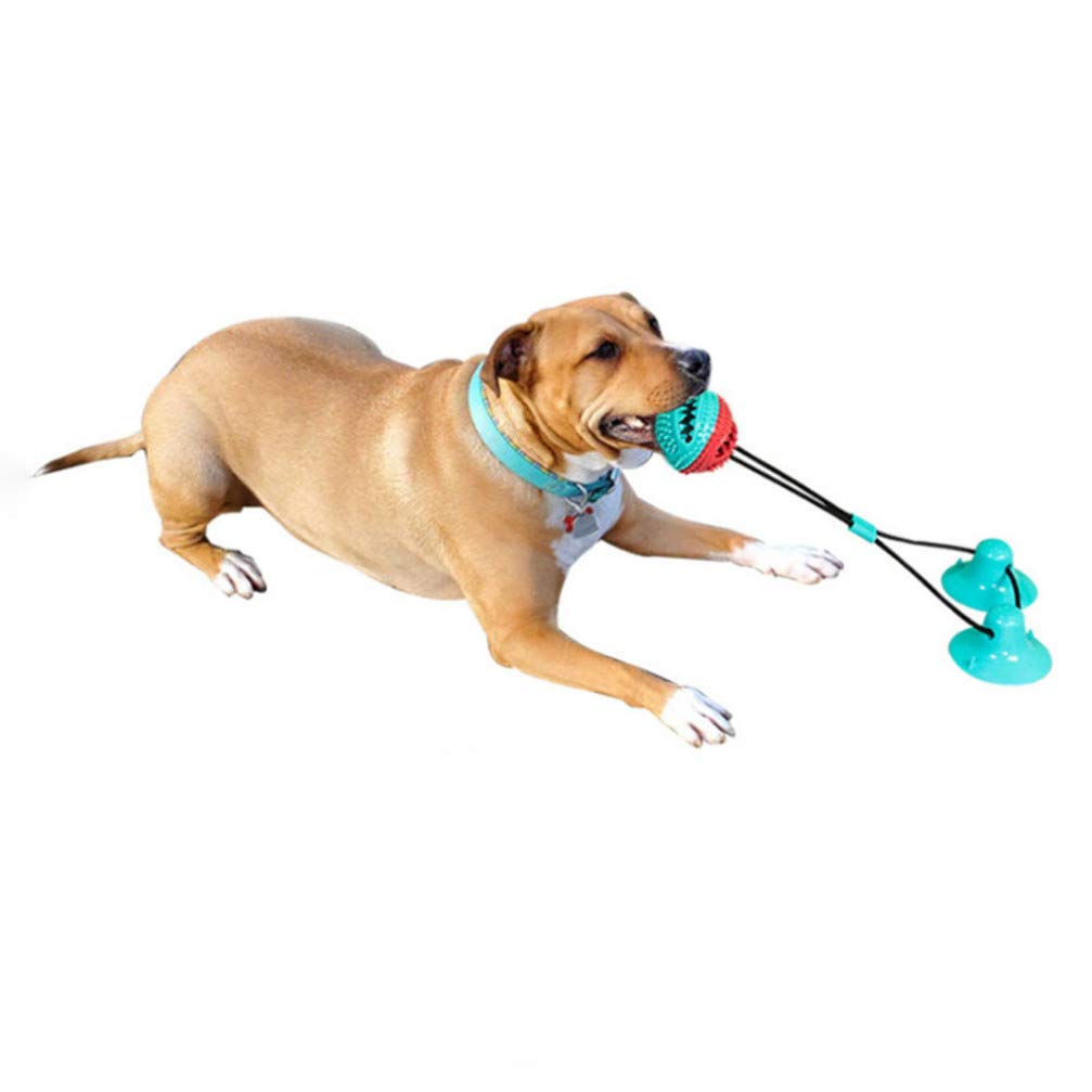 Balacoo Puppy Chew Toy - 1pc Double Suction Cup Drawstring Ball, Self-Playing Plush Dog Toy with Squeaker for Small Dogs | Interactive Chew Rubber Pet Toy for Teething, Cleaning Teeth & Playtime Fun