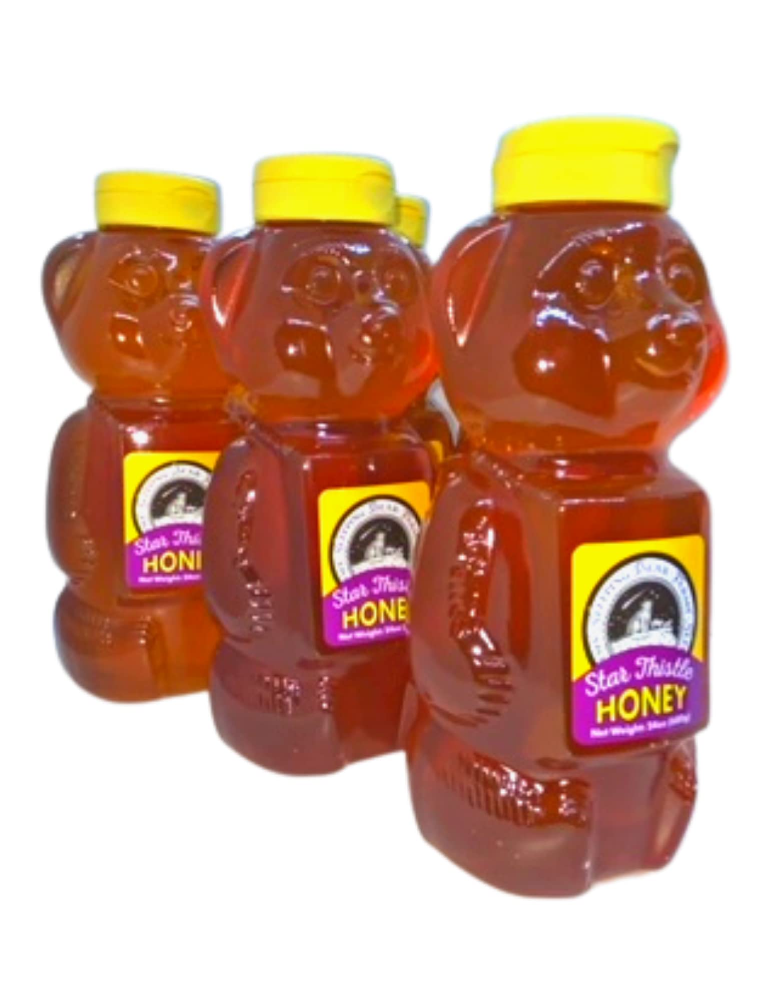 Pure Michigan Star Thistle Honey - 24 Oz (Case of 12) | Raw, Unpasteurized & Unblended | No Additives | Perfect for Tea, Baking & Natural Remedies