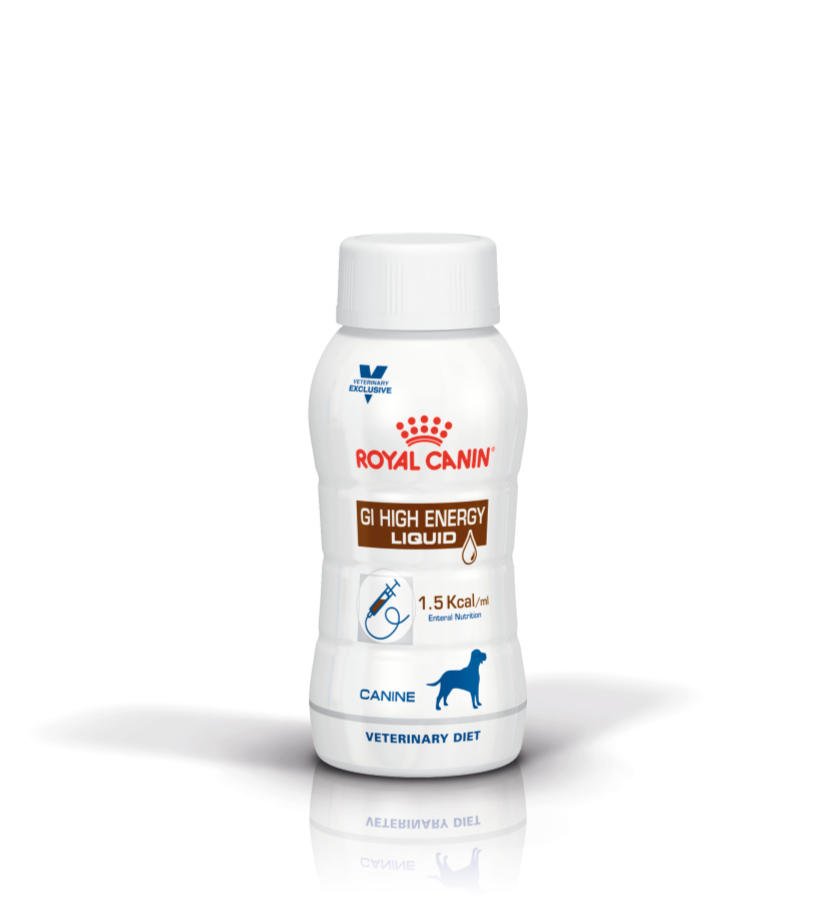 Royal Canin Canine GI High Energy Liquid Dog Food - Digestive Support for Active Dogs - Perfect for Post-Surgery Recovery & High-Performance Breeds
