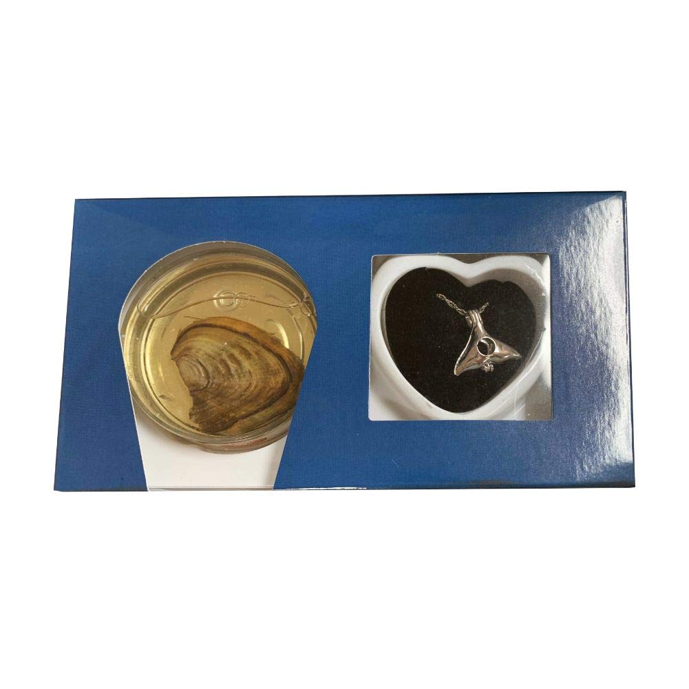 Love Pearl Creations Wish Kit with Humpback Whale Pendant Necklace - Perfect for Birthdays, Anniversaries & Spiritual Gifts