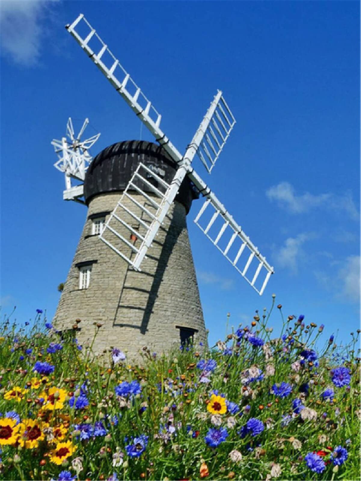 5D DIY Diamond Painting Kit - Windmill Flower Full Drill Diamond Art for Adults, Crystal Rhinestone Embroidery Cross Stitch Craft (100x130cm/40x52in) - Perfect for Home Wall Decor, Stress Relief & Creative Gift Idea