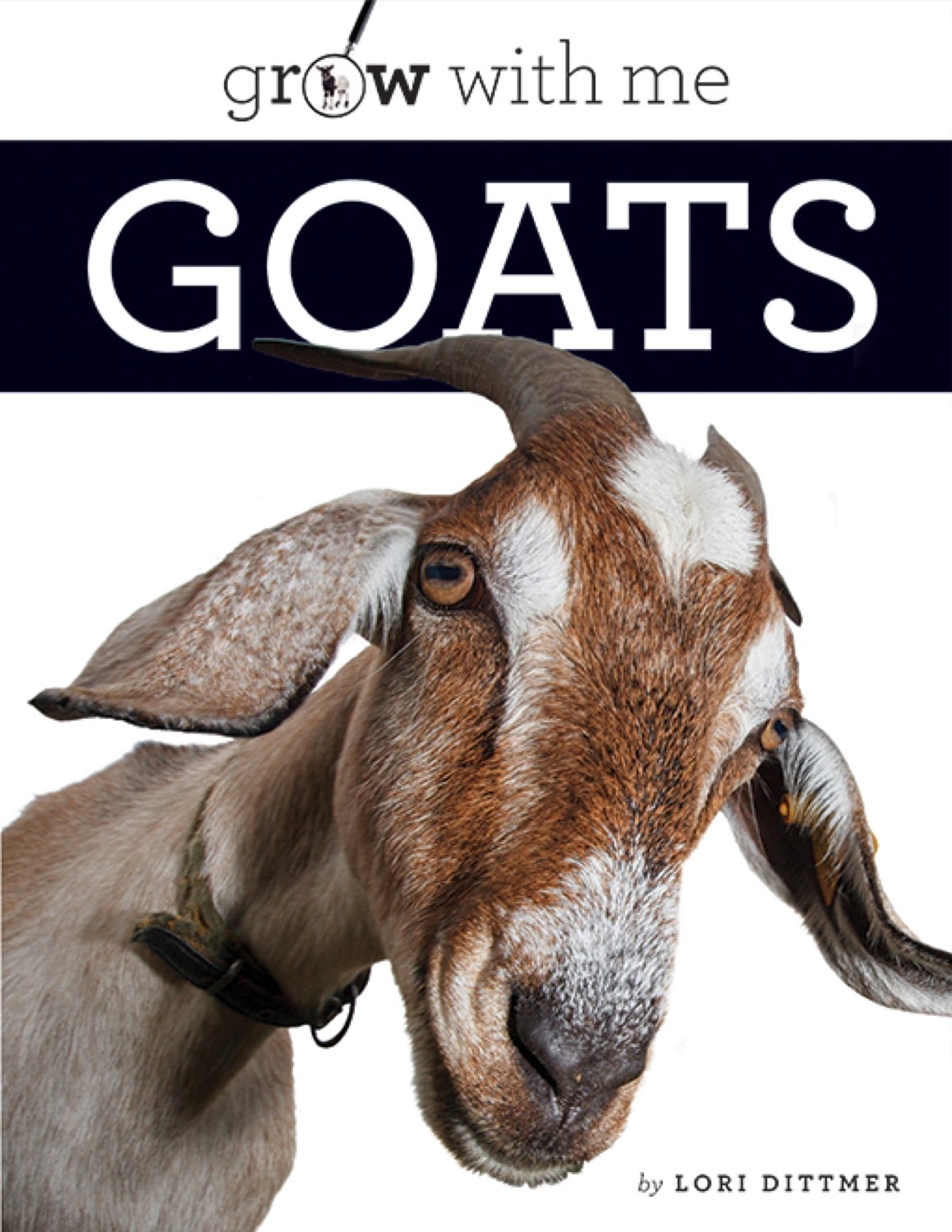 Goats 978-1-64026-231-7 - Best for Farm Life, Homesteading & Animal Lovers