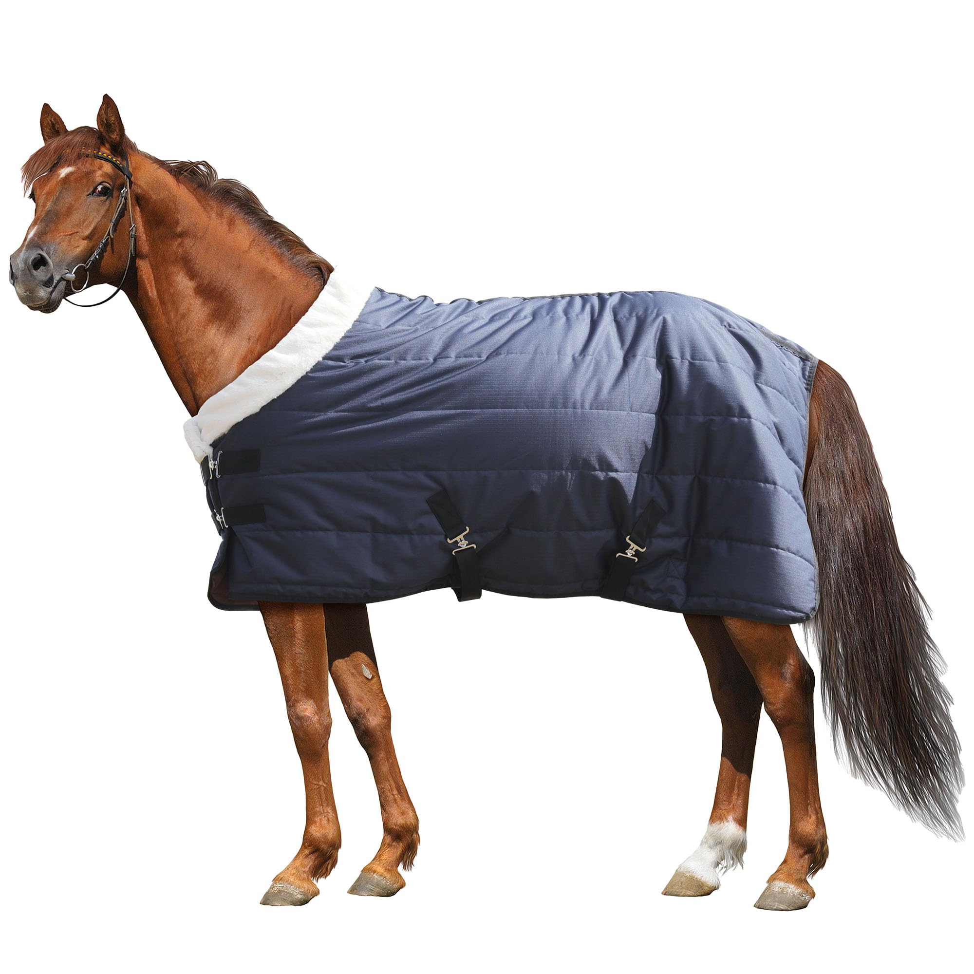 HOMBYS Heavy Duty Waterproof Winter Horse Blanket - 600D High Density Turnout Blanket with Flannel Backing for Extreme Cold - Navy Blue 78 Inch - Ideal for Stable, Trail Riding & Outdoor Horse Protection