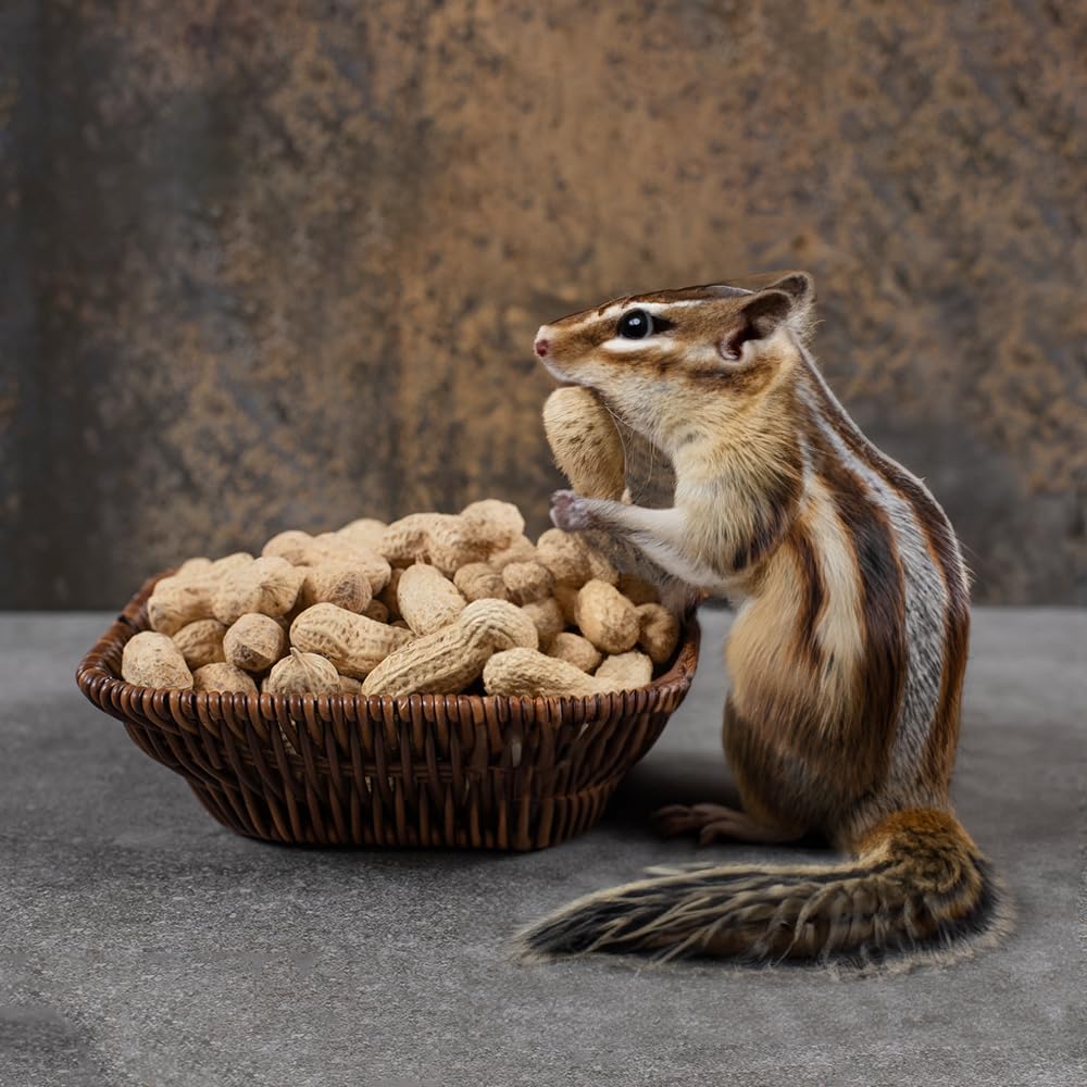 Naturalee Raw In-Shell Peanuts 2 lbs - Unsalted, All-Natural Healthy Snack for Humans, Squirrels & Wildlife - Perfect for Backyard Bird Feeding, Hiking Snacks & Protein Boost