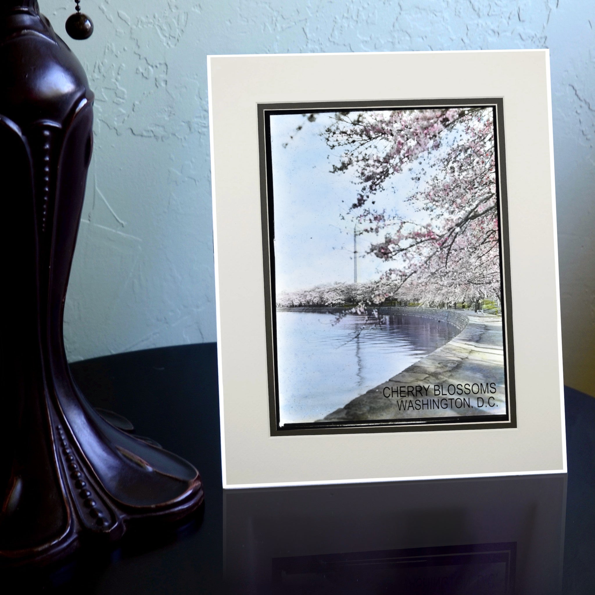 Cherry Blossoms at the Tidal Basin with Washington Monument Matted Print - Stunning Spring Wall Art for Home & Office Decor