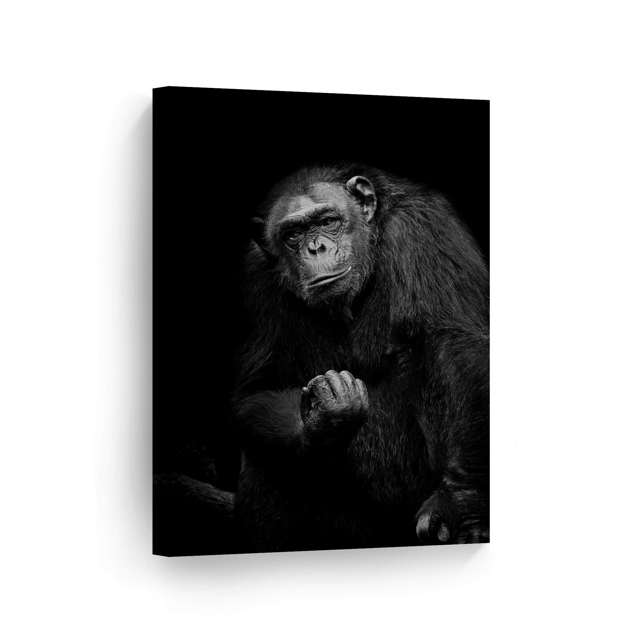 Black and White Gorilla Portrait Canvas Print - African Wildlife Wall Art for Bedroom, Nursery & Home Decor - 40x30 Inches - Perfect for Jungle Theme Rooms & Safari Decorations