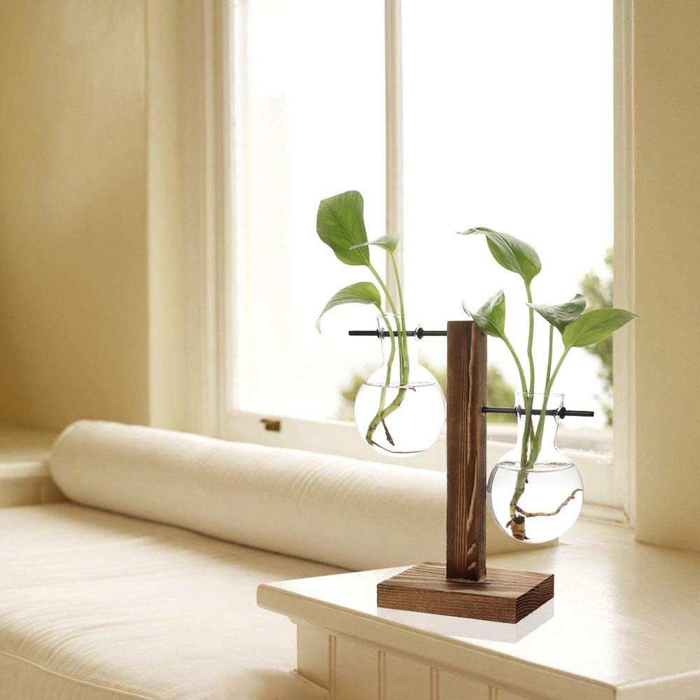 Retro Glass Terrarium Planter with Solid Wood Stand - Hydroponic Bulb Vase for Succulents, Air Plants | Perfect for Home, Office, Wedding & Garden Decor