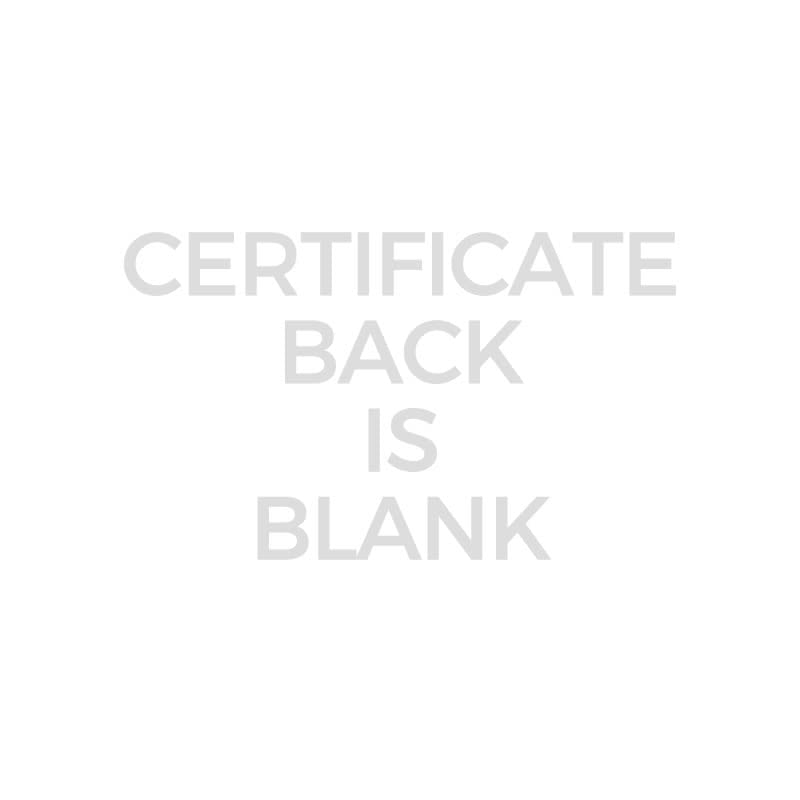 137 Blank Stock Certificate Paper - 8.5