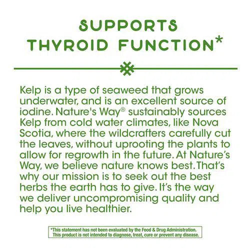 Nature's Way Kelp Supplement - 250 Capsules | Iodine Rich Seaweed for Thyroid Support & Metabolism Boost | Vegan, Non-GMO, Gluten-Free | Great for Thyroid Health & Energy Levels
