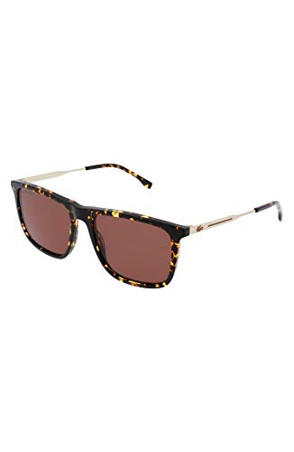 Havana/Solid Brown