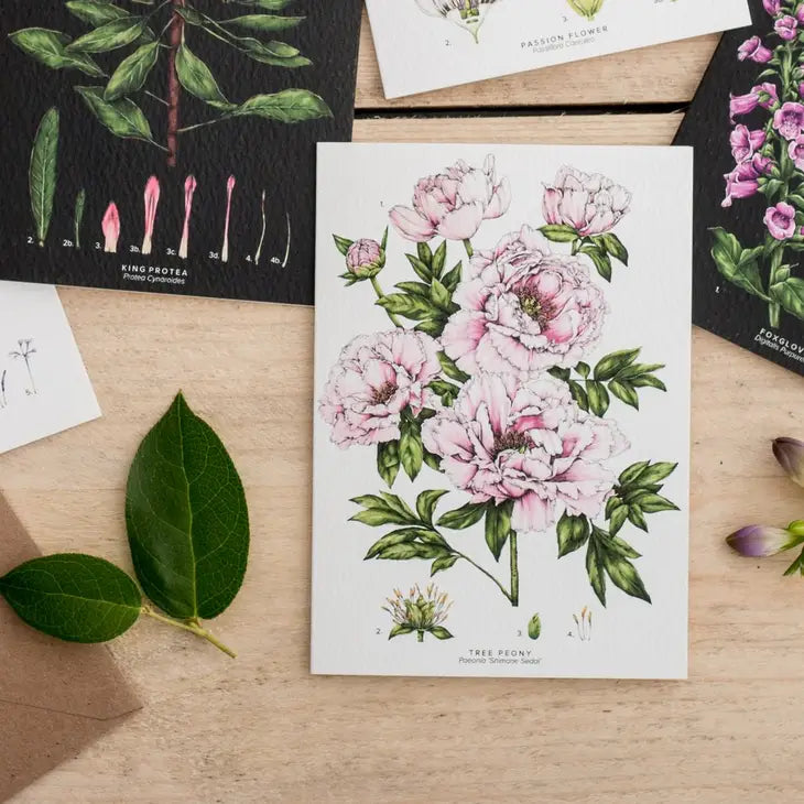 Beautiful Peony Blank Greeting Card Set - Elegant Floral Design for Birthdays, Weddings & Thank You Notes - Perfect for Handwritten Messages & DIY Crafting