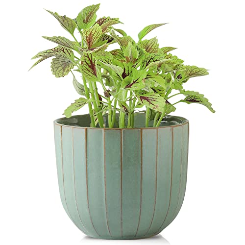 Wide Stripe Green
