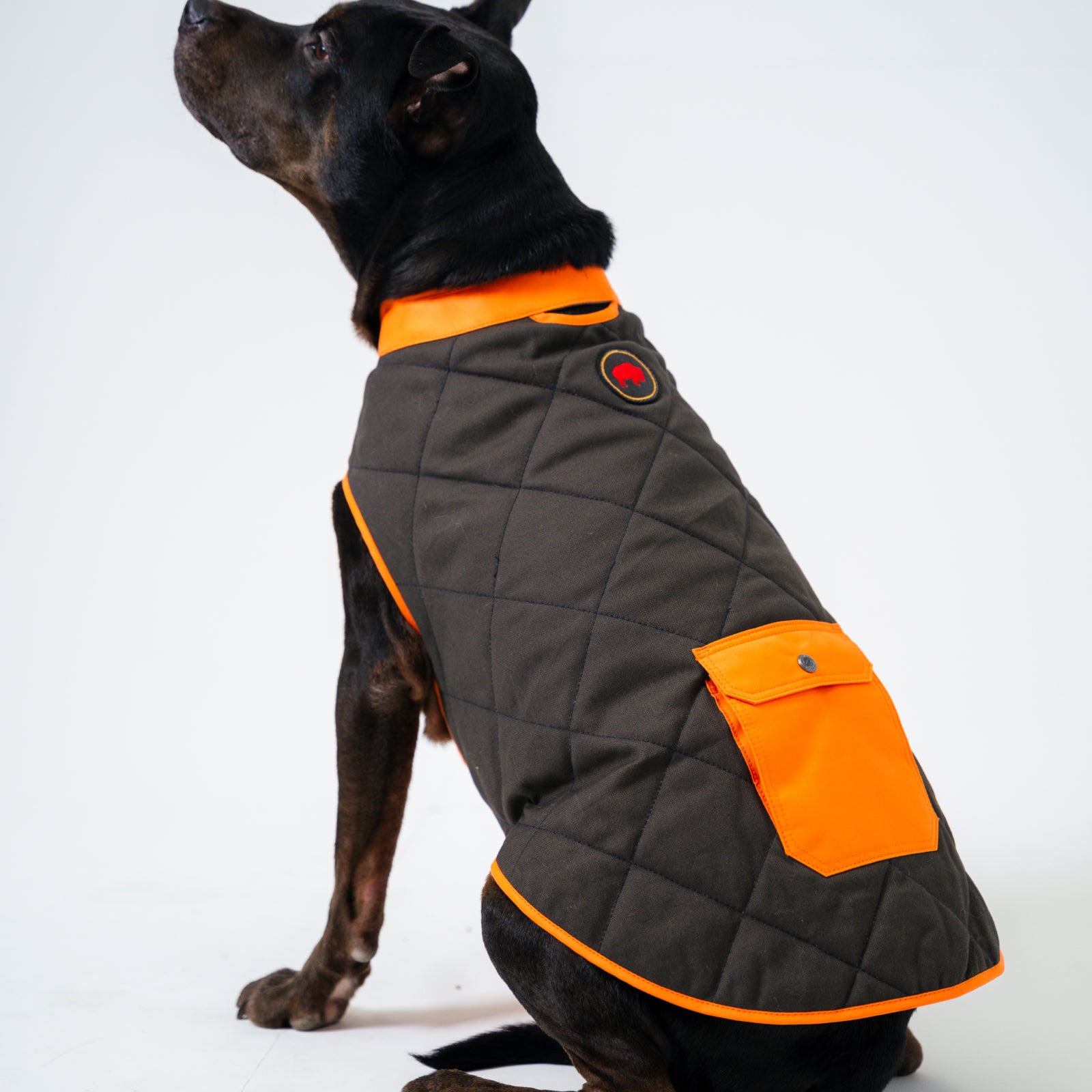 Highland Dog Vest for Small & Large Breeds - Warm & Stylish Winter Coat for Dogs - Perfect for Outdoor Walks, Hiking & Cold Weather Adventures
