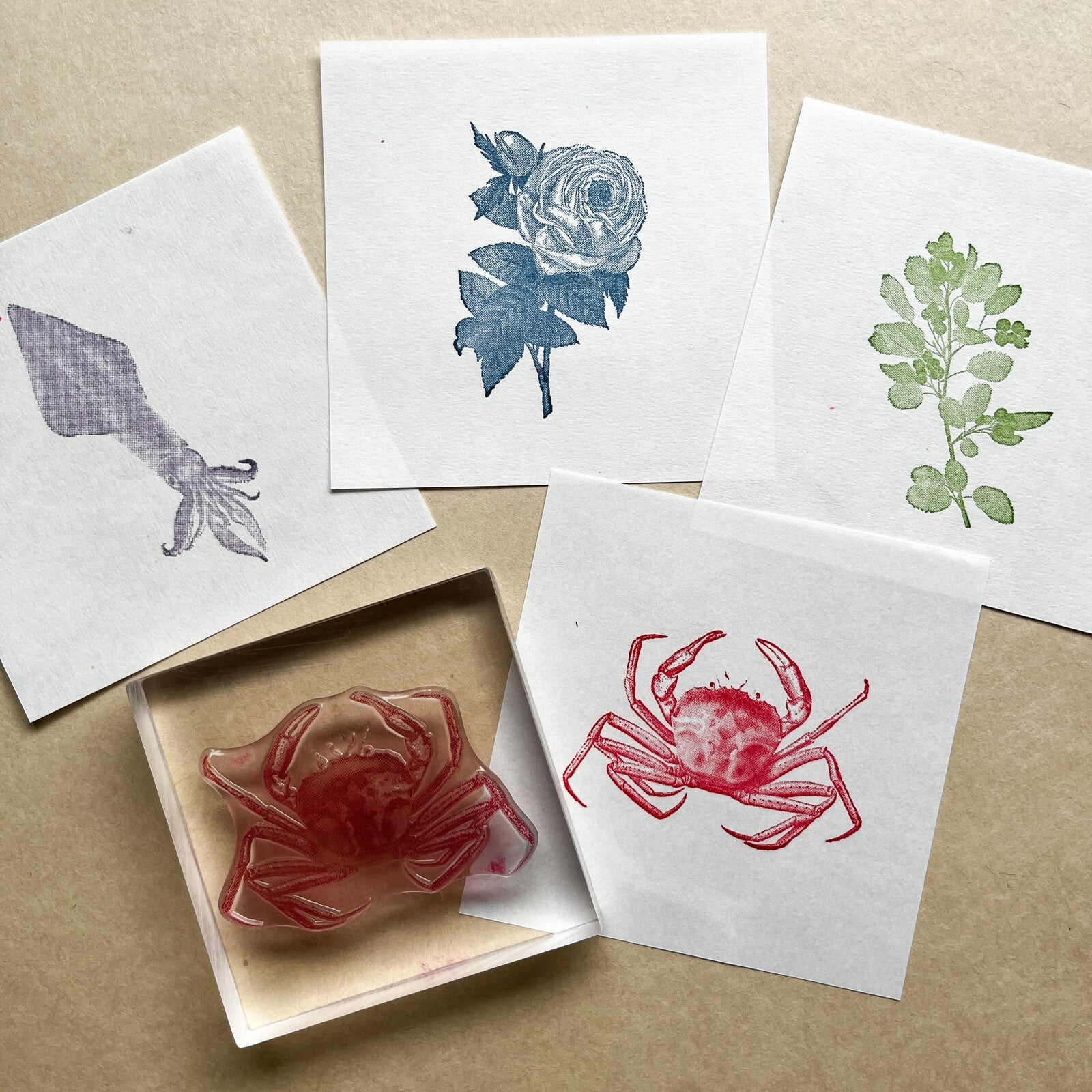 TO MEI HAN Biology Stamps - 3D Trigram Science Stamps for Kids, Perfect for School Projects, DIY Scrapbooking & Educational Activities