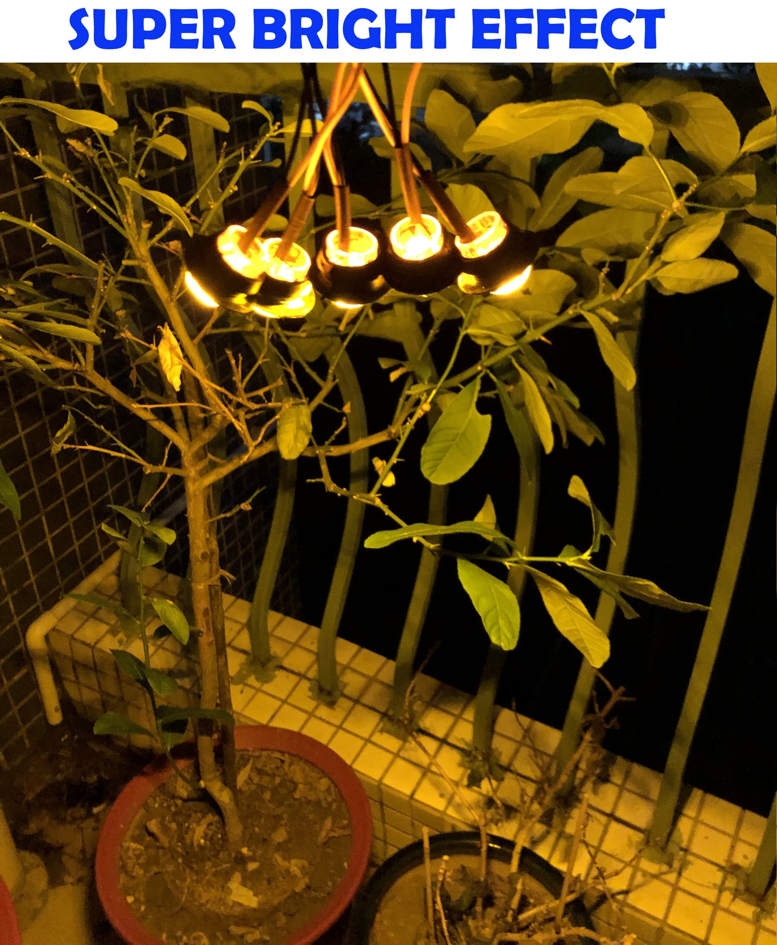 50Pcs Amber 3-LED 12V 3/4