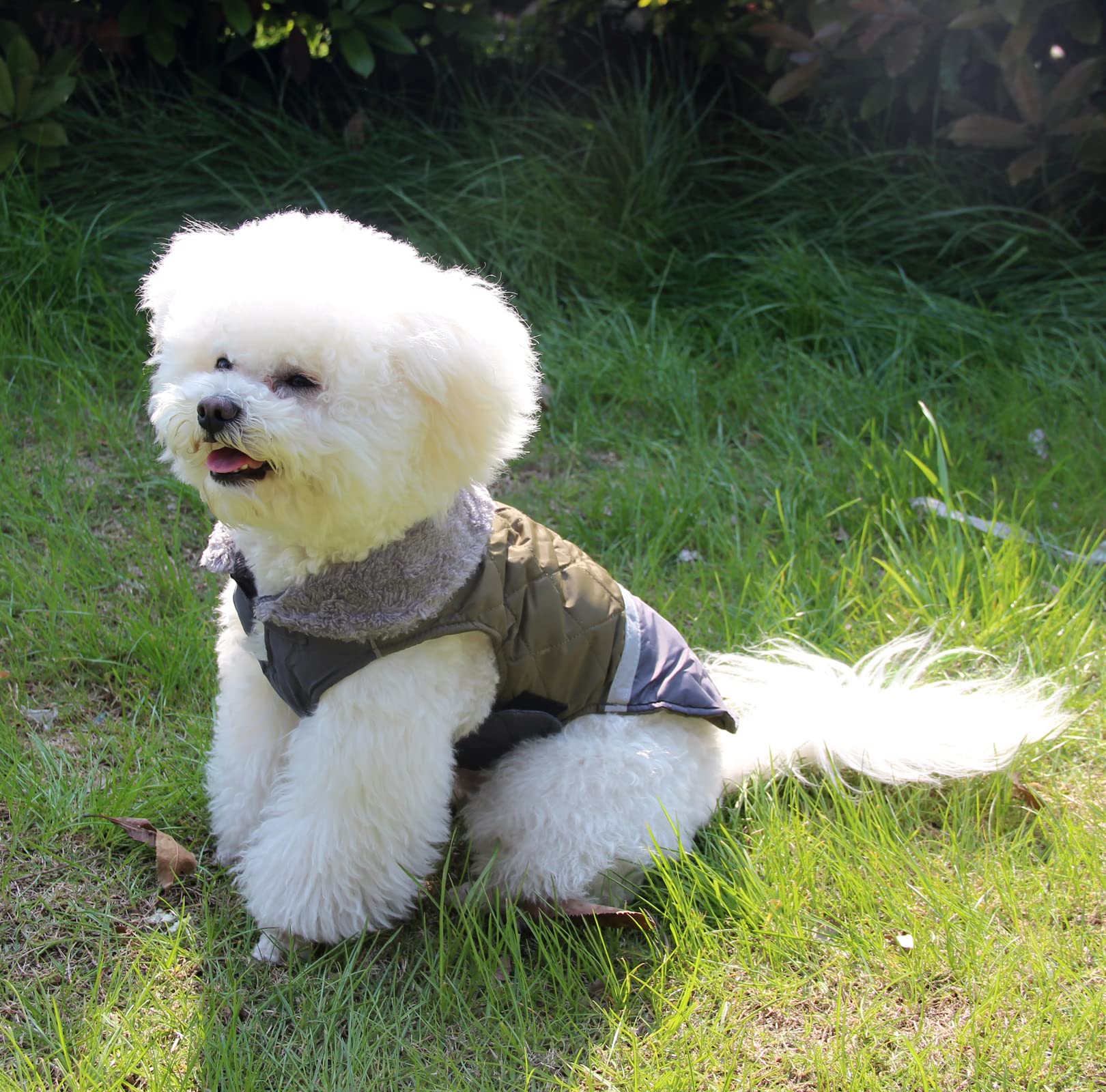 Waterproof Reversible Fleece Dog Coat for Small Dogs - Warm Puppy Jacket for Cold Winter (Green) | Perfect for Outdoor Walks, Winter Adventures & Indoor Comfort