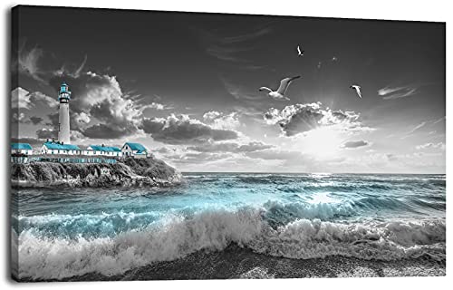ocean seagulls