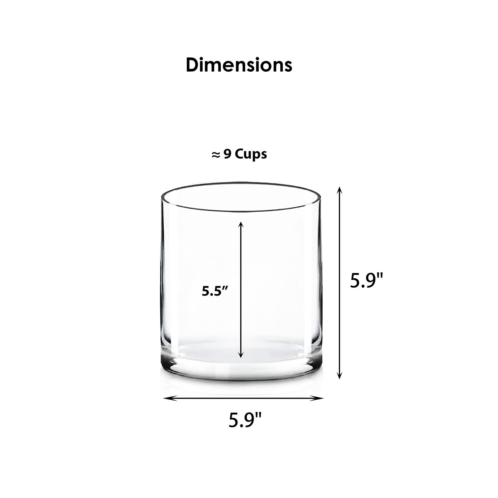 CYS EXCEL Clear Glass Cylinder Vase 5.9