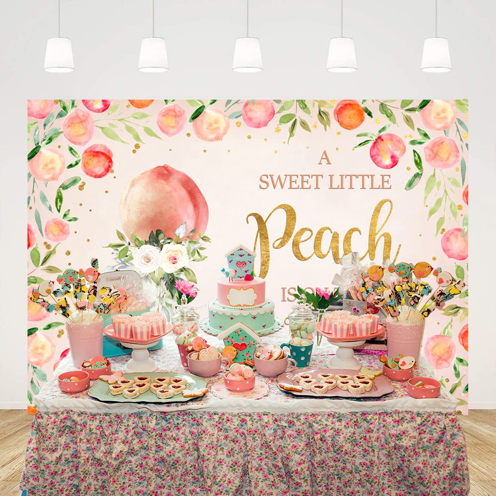 Ticuenicoa 7x5ft Peach Baby Shower Backdrop - Pink Photography Background for It's A Girl Party, Birthday Photo Booth Props | Perfect for Baby Showers, Gender Reveals & Newborn Photos