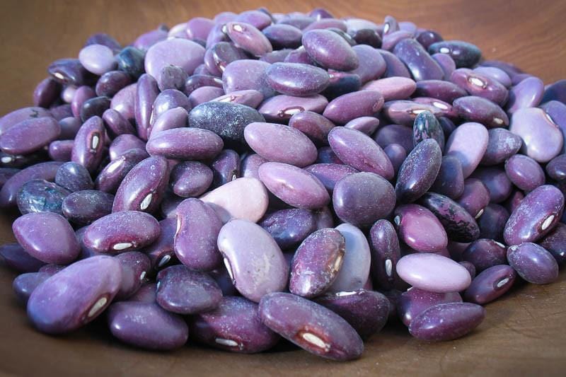 Organic Rancho Gordo Ayocote Morado Purple Beans 1 lb | Heirloom Mexican Beans for Soups, Stews & Salads | Premium Dried Beans for Healthy Cooking
