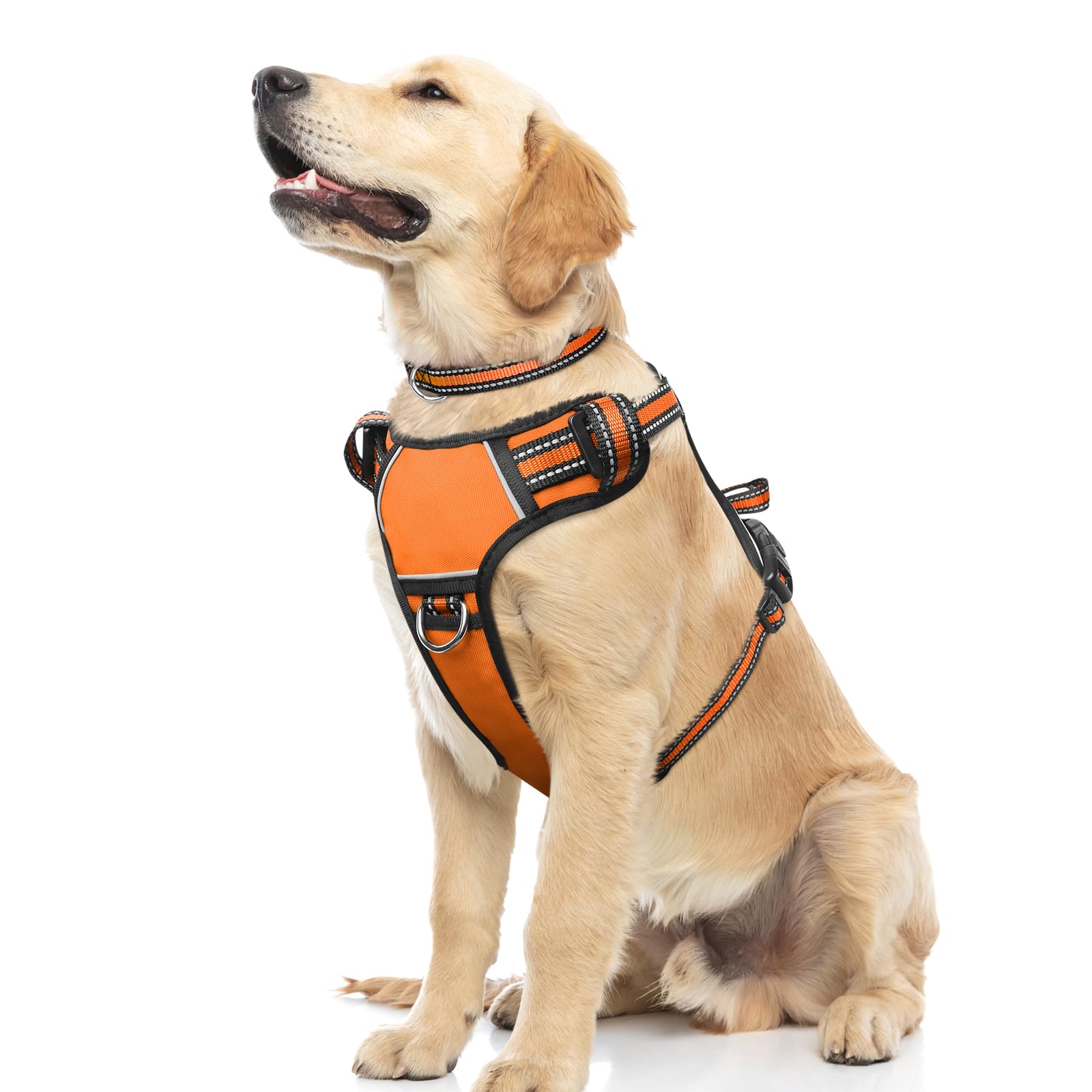 WINSEE No Pull Dog Harness with Collar - Adjustable Reflective Oxford Vest for Small Medium Large XL Dogs - Front & Back Leash Clips & Control Handle - Perfect for Walking, Hiking & Outdoor Adventures