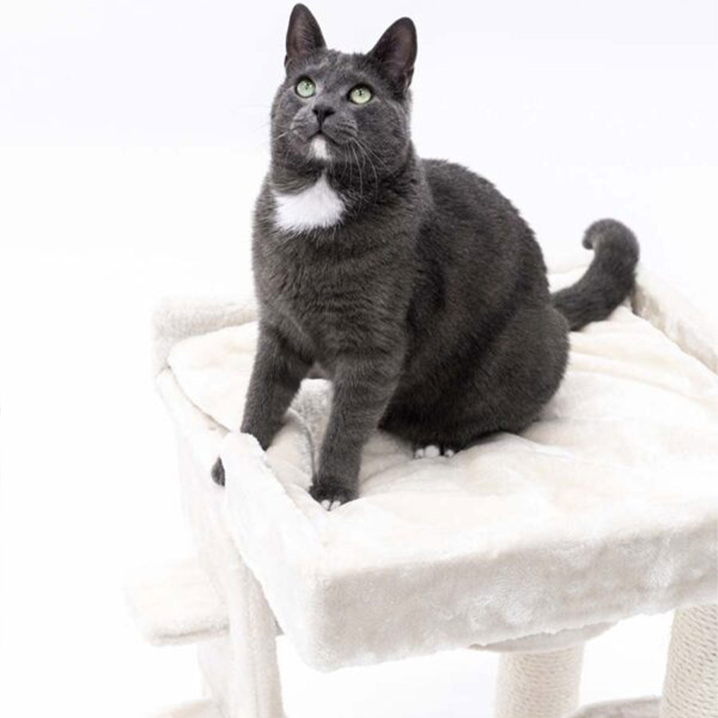 Little Rebels Tucson 61cm Cat Tree - Premium Scratching Post with Perch & Condo for Indoor Cats - Perfect for Play, Rest & Climbing in Small Spaces