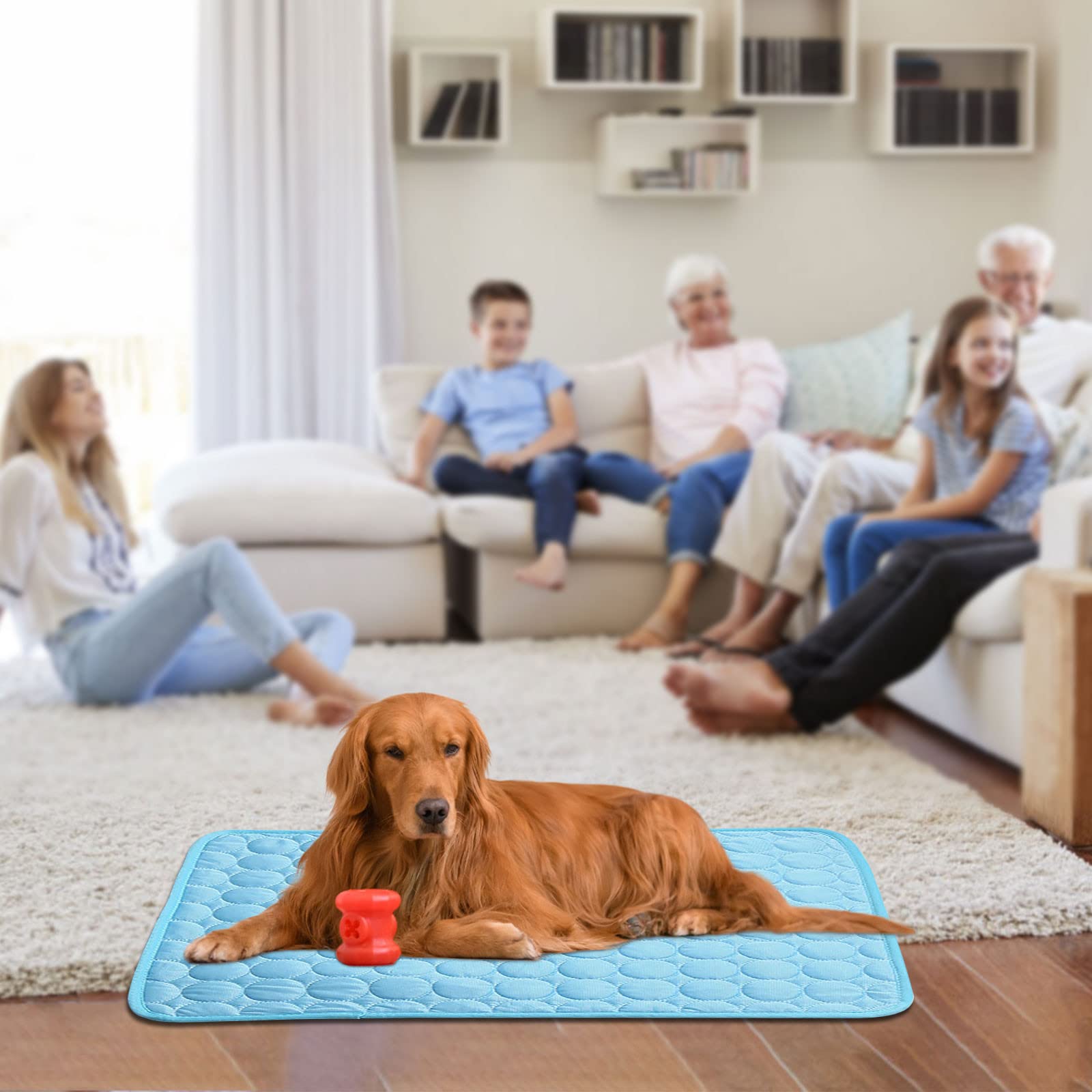 Cooling Pet Mat for Cats & Dogs - Washable Ice Silk Pad for Summer