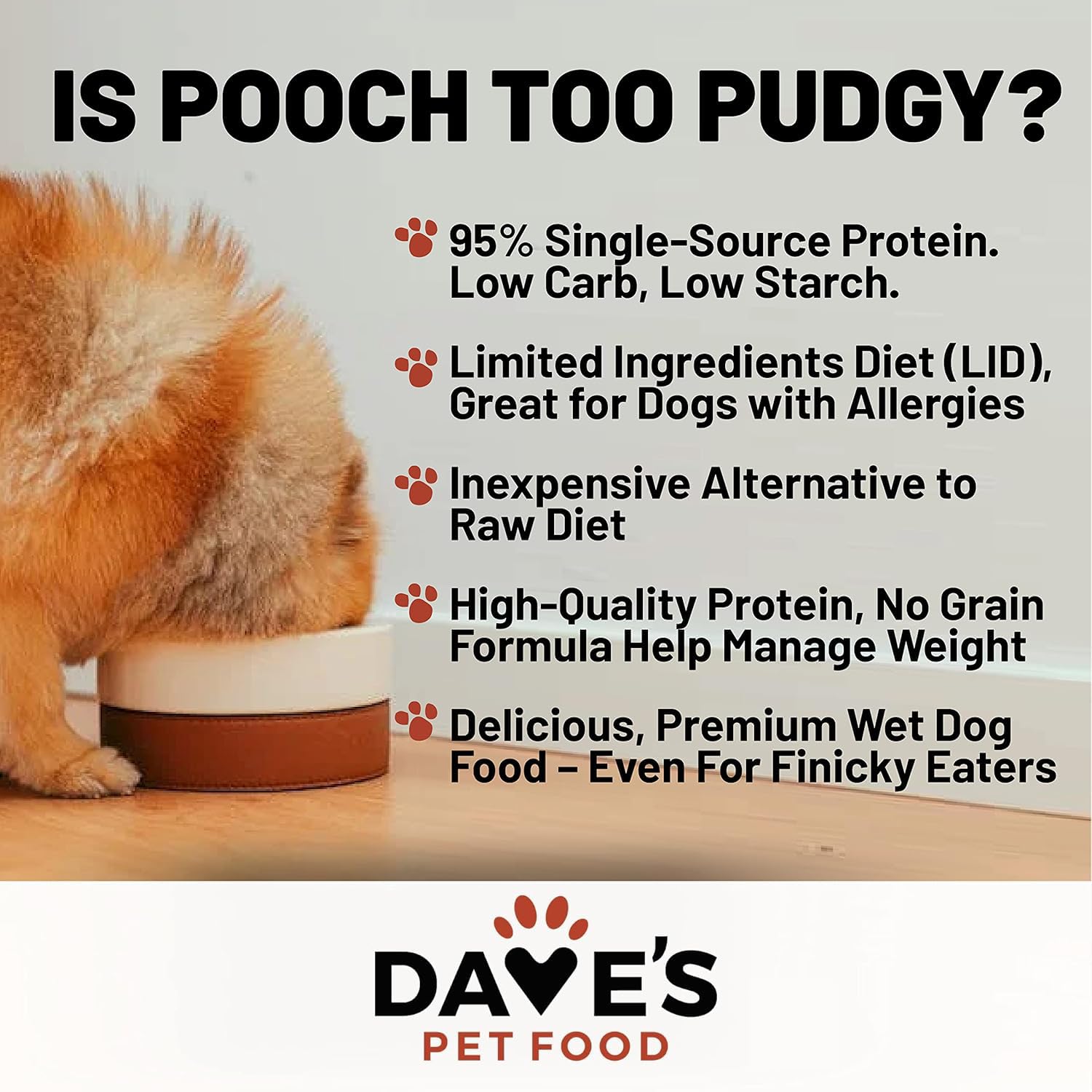 Premium Grain-Free Wet Dog Food - 95% Chicken & Chicken Liver, Single-Source Protein, Limited Ingredient Formula | Made in USA | 12.5oz Cans (12-Pack) for Small & Medium Dogs | Perfect for Sensitive Stomachs & Allergies