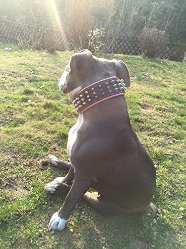Premium Genuine Leather Studded Dog Collar for Large Dogs - Heavy Duty Silver Spikes Pet Collar - Perfect for Training, Walking & Fashion Accessories