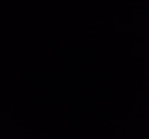 1-Pack Black