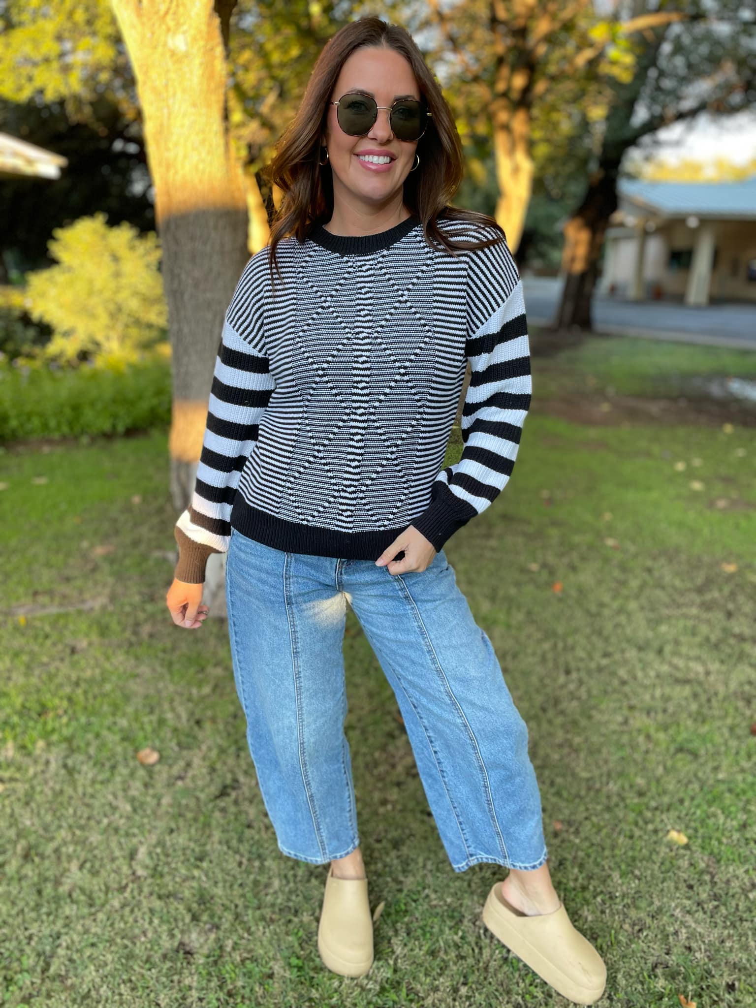 PREORDER: Aspen Striped Sleeve Sweater - 4 Color Options for Women | Cozy Fall & Winter Fashion | Perfect for Casual Outings & Office Wear