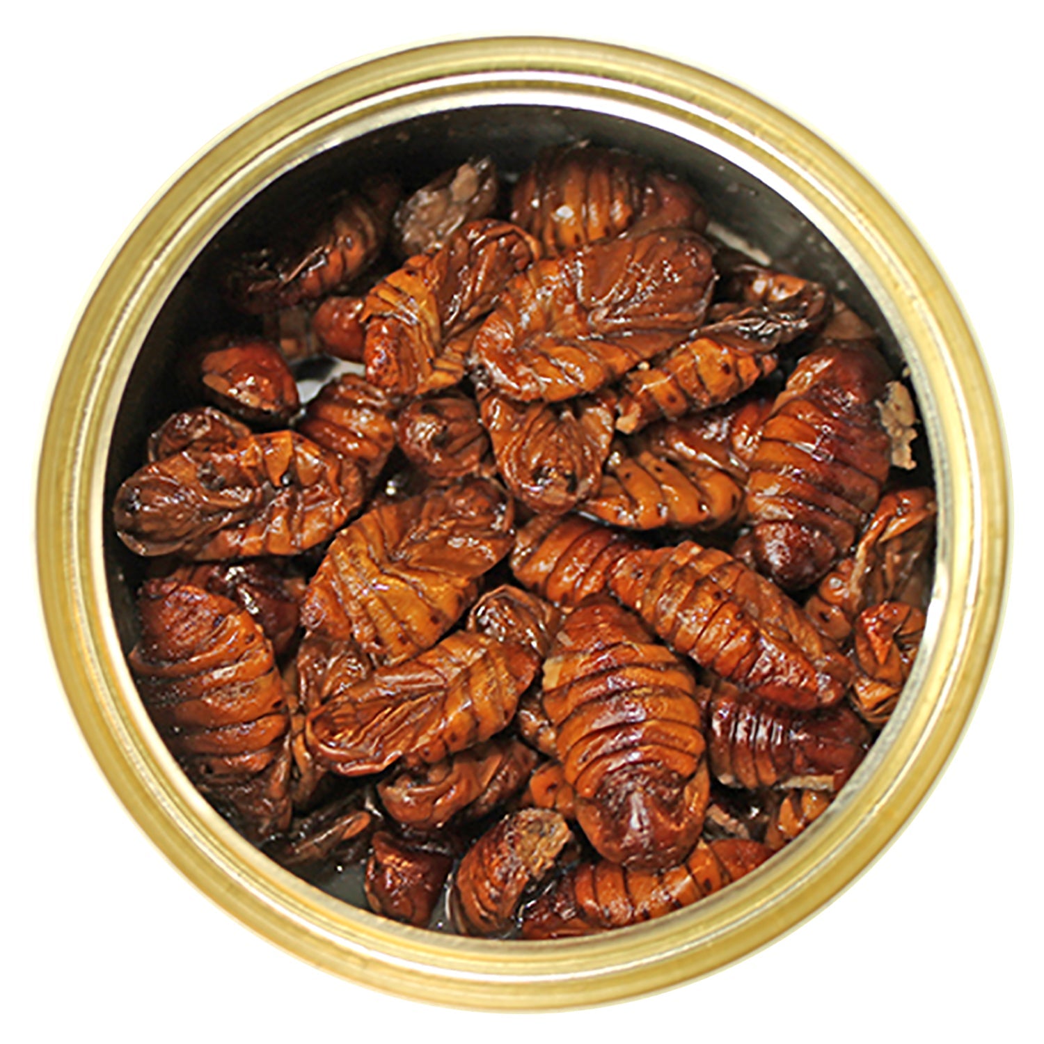 Nutritious Canned Silkworm Pupae - High Protein Snack for Pets & Human Consumption | Perfect for Reptile Food, Fishing Bait & Survival Kits