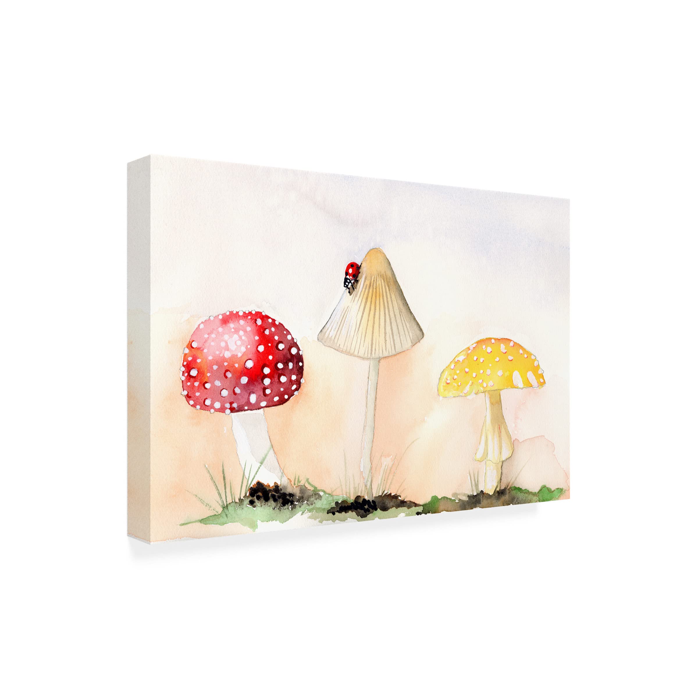 Trademark Fine Art 'Faerie Mushrooms I' Canvas Wall Art Print by Alicia Ludwig - Whimsical Fantasy Home Decor for Living Room, Bedroom & Nursery