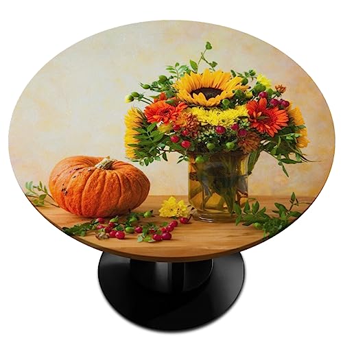 Z:fall Autumn