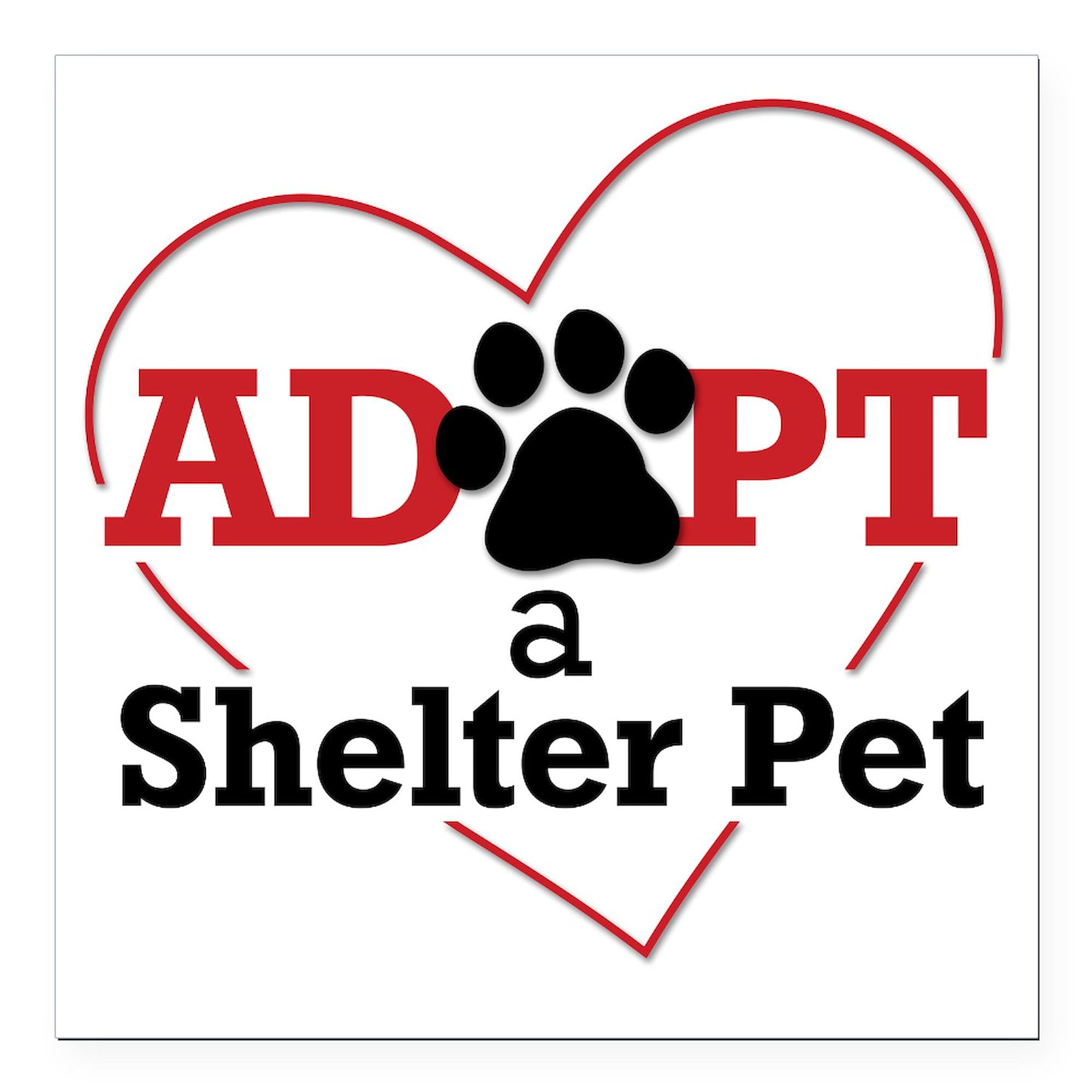 Adopt A Shelter Pet 3x3 Inch Square Car Magnet - Strong Magnetic Bumper Sticker for Animal Lovers - Perfect for Cars, Trucks & Metal Surfaces to Show Pet Adoption Support