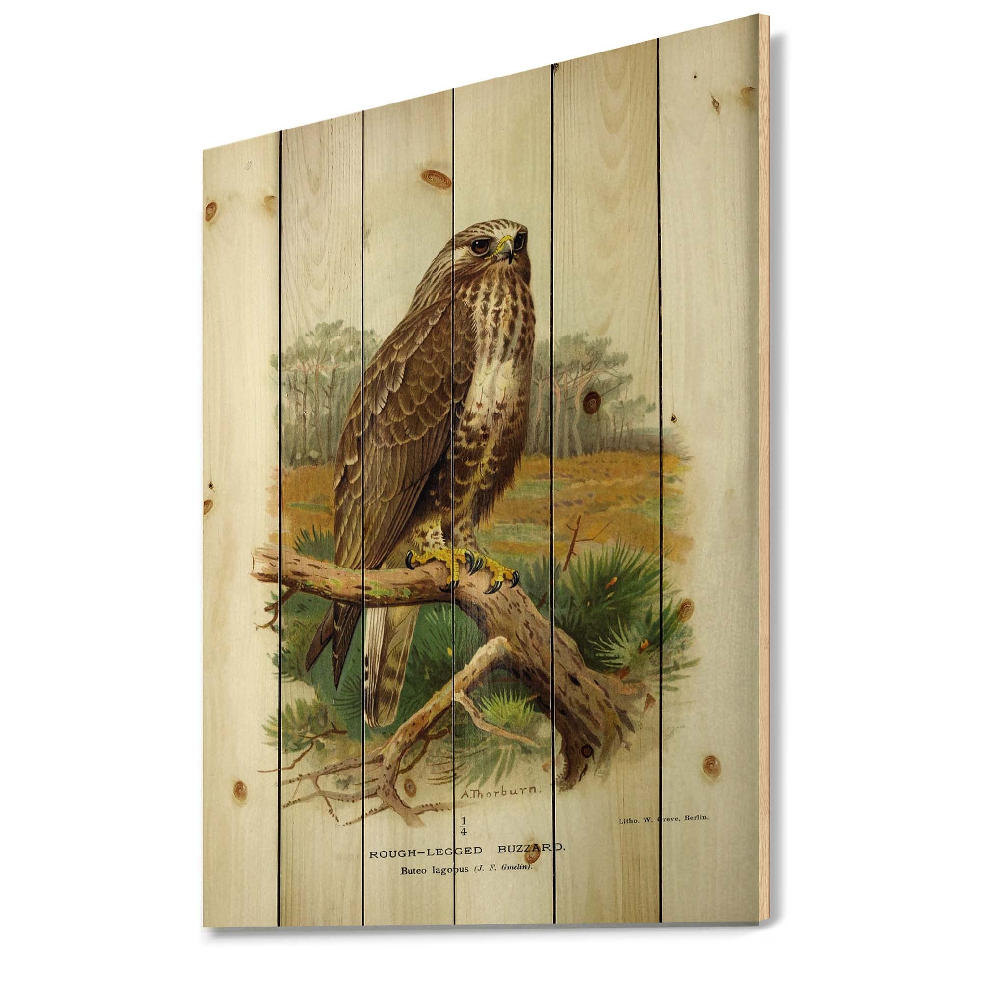 Vintage Bird Life IX Traditional Wood Wall Decor - Beige Wood Wall Art - Large Animal Wood Panels Printed on Natural Pine - Perfect for Living Room, Bedroom & Office Decor