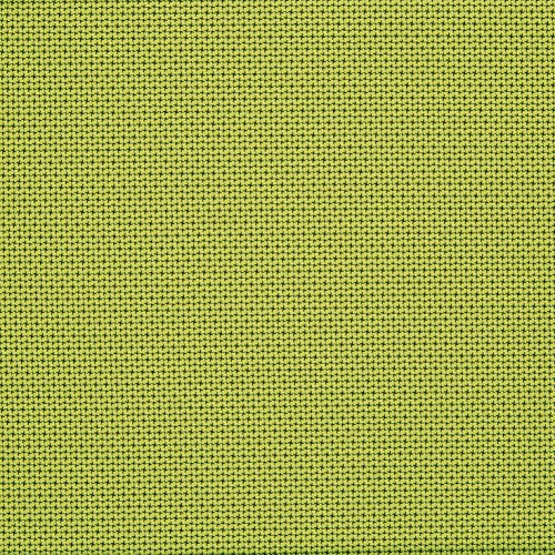Olive Fabric