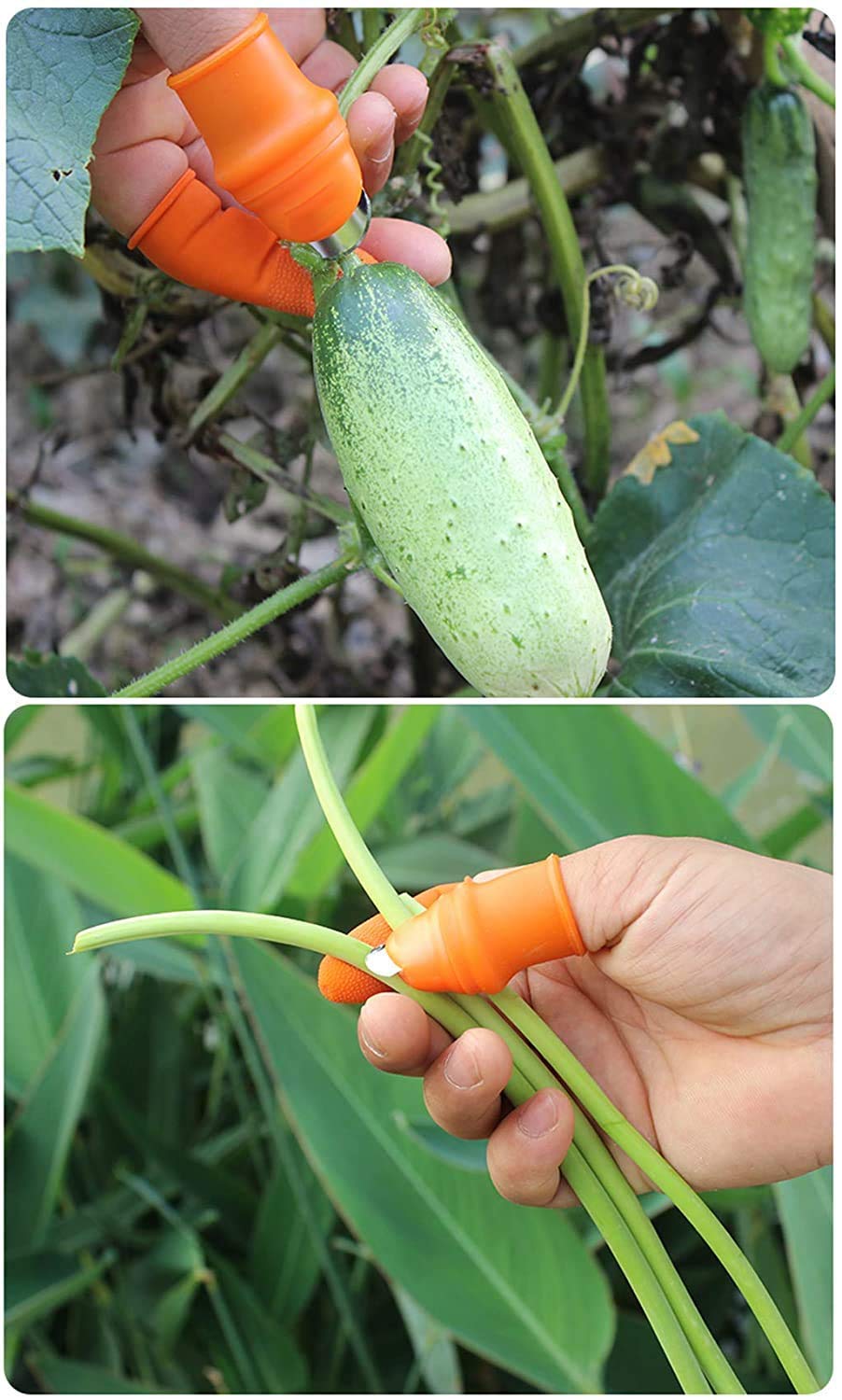 Cyrox Garden Fruit & Vegetable Picking Thumb Knife - Stainless Steel Kitchen Knife Set with Garlic Peeler - Perfect for Harvesting, Cooking & Food Prep at Home