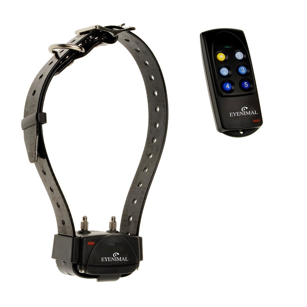 Waterproof Dog Training Collar with Remote - 250 Yard Range, Rechargeable & Adjustable Shock Levels for Small to Large Dogs - Perfect for Obedience Training, Bark Control & Outdoor Adventures