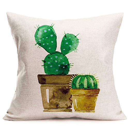 Two Cactus