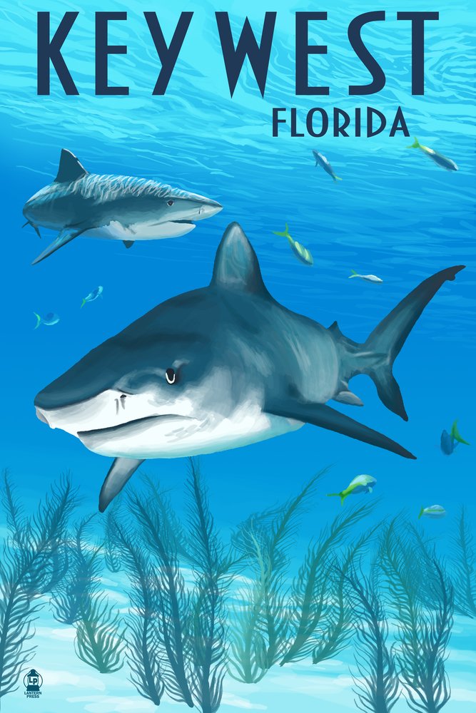 Key West Florida Sharks Metal Wall Art - 16x24 Gallery Quality Aluminum Decor for Home, Office & Beach House