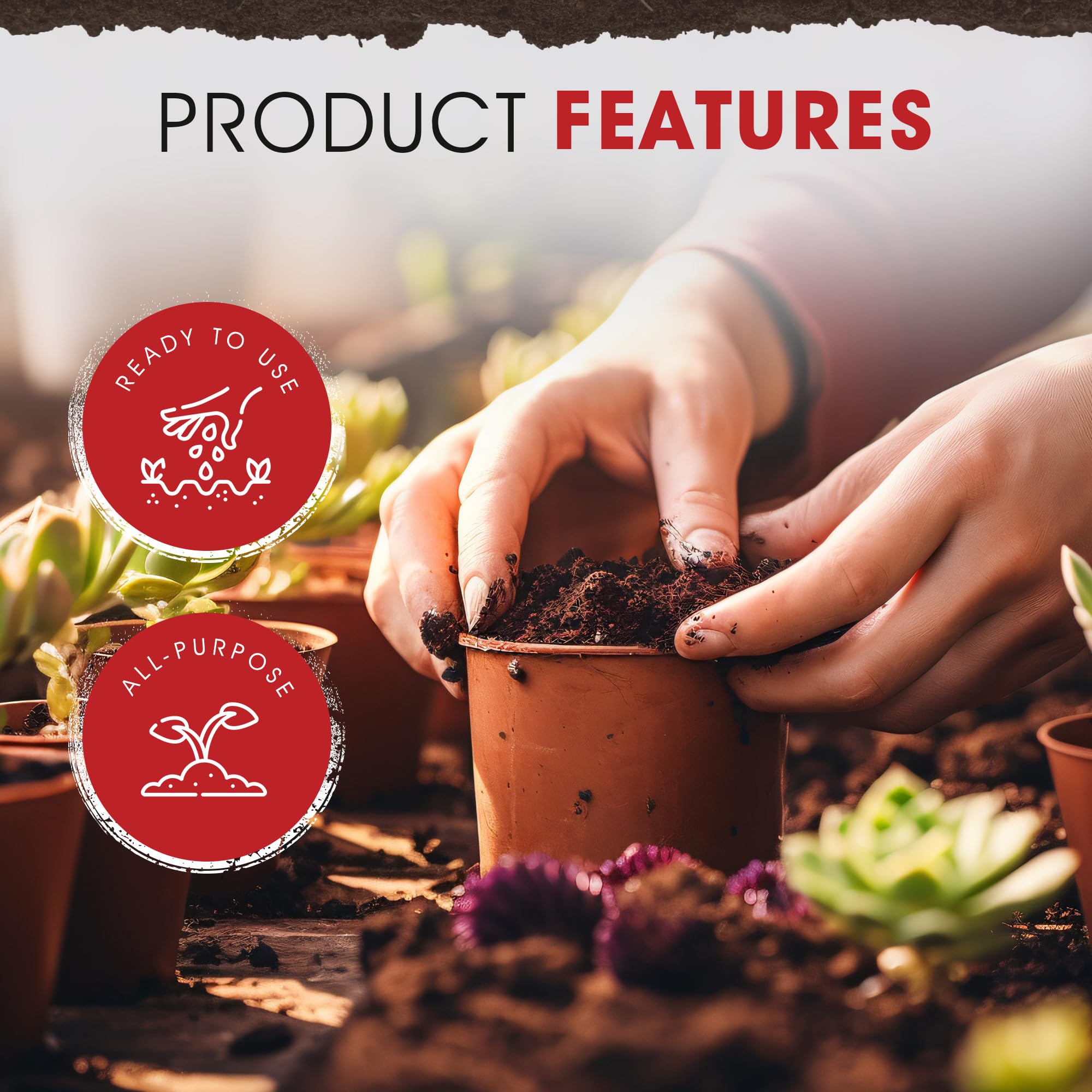 Premium Organic Potting Soil Mix with Perlite - Nutrient-Rich Blend for Lawns, Gardens & Raised Beds (Peat Moss, Reed Sedge, Sand) - 40lb (6 Pack) - Ideal for Indoor/Outdoor Plants, Vegetables & Flowering Plants