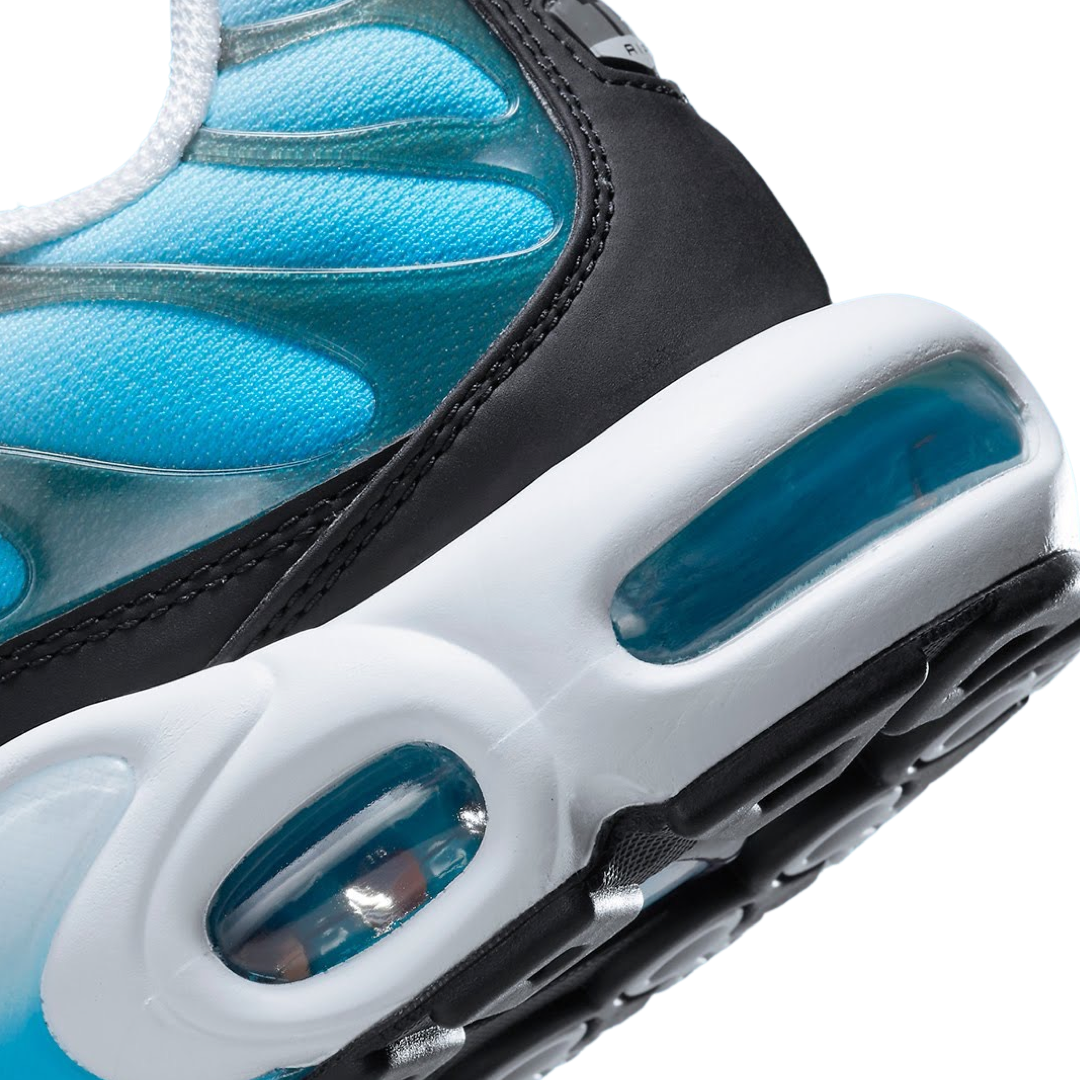 Nike Air Max Plus Men's Running Shoes - Baltic Blue, White & Black | Comfortable Cushioned Sneakers for Jogging, Gym & Casual Wear