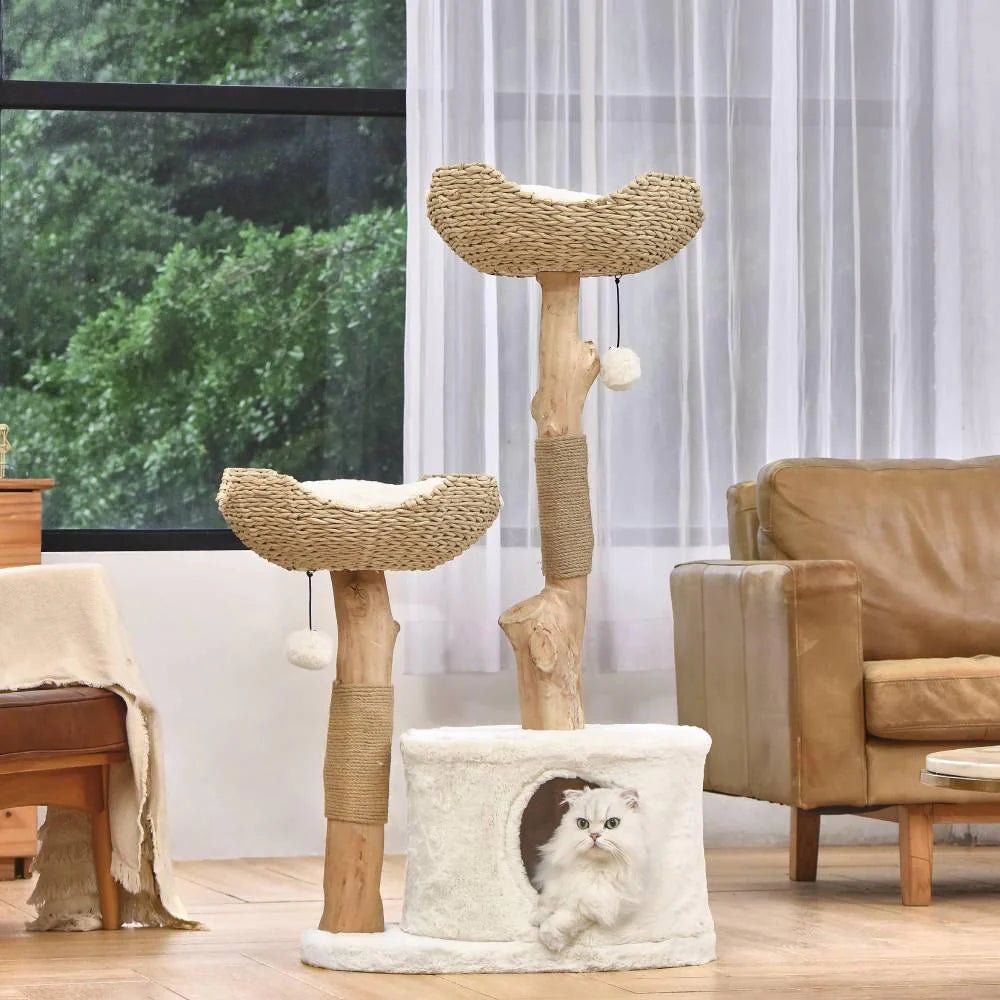Premium Real Wood Cat Tree for Large Cats - Sturdy & Stylish Climbing Perch for Indoor Play, Scratching & Lounging - Perfect for Living Rooms, Bedrooms & Home Offices