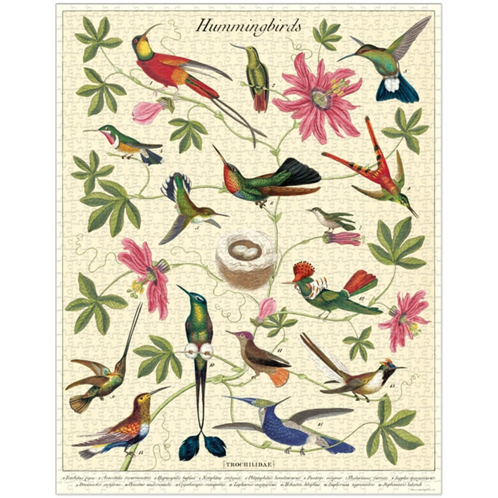 1000 Piece Hummingbirds Jigsaw Puzzle - Beautiful Bird Wildlife Scene for Adults & Kids - Perfect for Family Game Night & Relaxation
