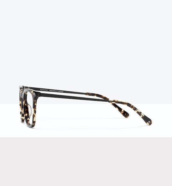 Stylish Scholar Eyeglasses - Trendy Reading Glasses for Men & Women - Perfect for Studying, Working & Computer Use