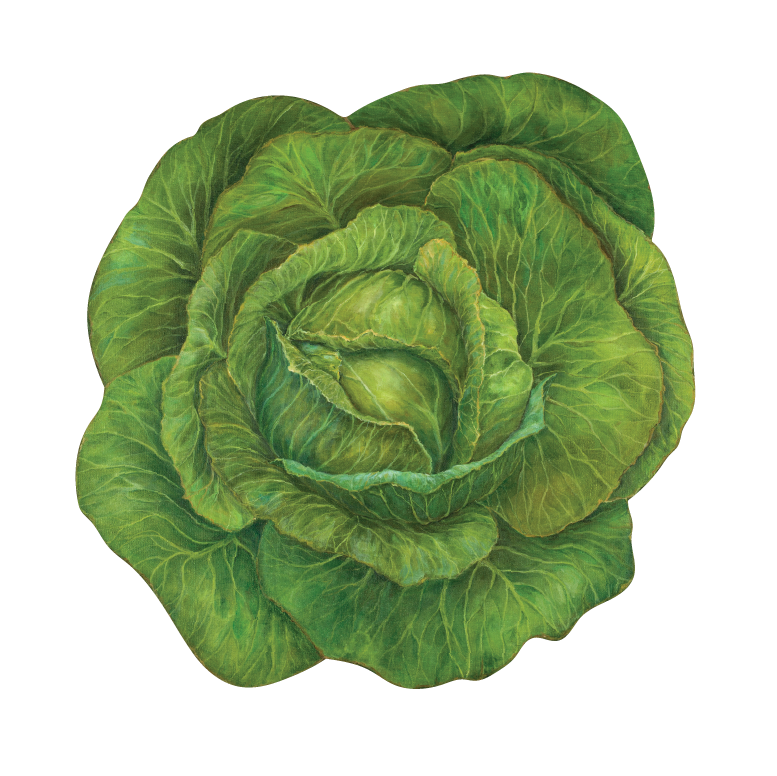 Premium Die-Cut Cabbage Leaf Placemats - Eco-Friendly Table Decor for Farmhouse, Rustic & Spring Dinner Parties - Set of 6 Washable Kitchen Mats